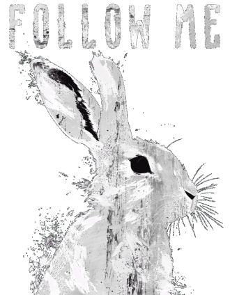 White Rabbit - Follow Me (720p (1280 x 720)) - SHORT